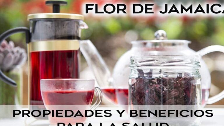 Descubre el precio de la Flor de Jamaica en Mercadona: Una bebida saludable y refrescante a tu alcance