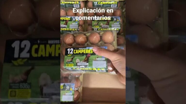 Descubre el precio de los 12 huevos en Mercadona: ¡una opción económica y de calidad!