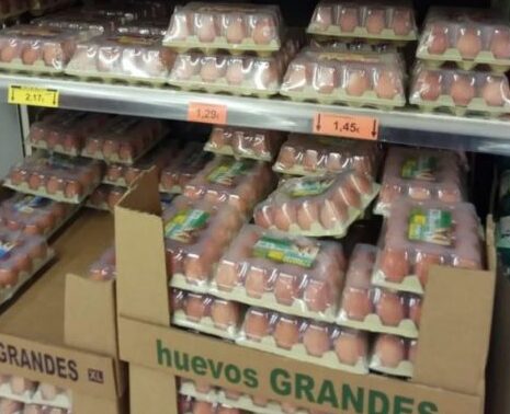 Todo lo que necesitas saber sobre el precio de los huevos en Mercadona